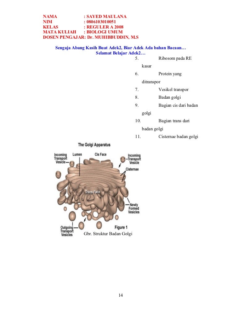 Ringkasan singkat-soal-soal-biologi-umum