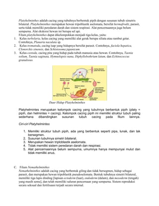 Platyhelminthes adalah cacing yang tubuhnya berbentuk pipih dengan susunan tubuh simetris
   bilateral. Platyhelminthes merupakan hewan tripoblastik aselomata, bersifat hermafrodit, parasit,
   serta tidak memiliki peredaran darah dan sistem respirasi. Alat pencernaannya juga belum
   sempurna. Alat ekskresi hewan ini berupa sel api.
   Filum platyhelminthes dapat dikelompokkan menjadi tiga kelas, yaitu:
1. Kelas turbelaria, kelas cacing yang memiliki alat gerak berupa siliata atau rambut getar.
   Contohnya, Planaria naculata sp.
2. Kelas trematoda, cacing isap yang hidupnya bersifat parasit. Contohnya, faciola hepatica,
   Clonorchis sinensis, dan Schistosoma japanicum.
3. Kelas cestoda, cacing pita yang hidup pada tubuh manusia atau hewan. Contohnya, Taenia
   solium, Taenia saginata, Hymnelopsis nana, Diphyllobothrium latum, dan Echinococcus
   granulosus.




                           Daur Hidup Platyhelminthes

   Platyhelmintes merupakan kelompok cacing yang tubuhnya berbentuk pipih (platy =
   pipih, dan helmintes = cacing). Kelompok cacing pipih ini memiliki struktur tubuh paling
   sederhana     dibandingkan     susunan    tubuh    cacing    pada       filum   lainnya.

   Ciri-ciri Platyhelmintes

       1. Memiliki struktur tubuh pipih, ada yang berbentuk seperti pipa, lunak, dan tak
          bersegmen.
       2. Susunan tubuhnya simetri bilateral.
       3. Merupakan hewan triploblastik aselomata.
       4. Tidak memiliki sistem peredaran darah dan respirasi.
       5. Alat pencernaannya belum sempurna, umumnya hanya mempunyai mulut dan
          tidak memiliki anus.



C. Filum Nemathelminthes
   Nemathelminthes adalah cacing yang berbentuk giling dan tidak bersegmen, hidup sebagai
   parasit, dan merupakan hewan tripoblastik pseudoselomata. Bentuk tubuhnya simetri bilateral,
   memiliki tiga lapis dinding [lapisan ectoderm (luar), endoderm (dalam), dan mesoderm (tengah)
   yang masih semu], dan telah memiliki saluran pencernaan yang sempurna. Sistem reproduksi
   secara seksual dan fertilisaasi terjadi secara internal.
 
