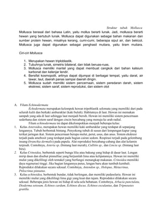 Struktur tubuh Mollusca
   Mollusca berasal dari bahasa Latin, yaitu mollus berarti lunak. Jadi, mollusca berarti
   hewan yang bertubuh lunak. Mollusca dapat digunakan sebagai bahan makanan dan
   sumber protein hewan, misalnya kerang, cumi-cumi, beberapa siput air, dan bekicot.
   Mollusca juga dapat digunakan sebagai penghasil mutiara, yaitu tiram mutiara.

   Ciri-ciri Mollusca

       1. Merupakan hewan triploblastik.
       2. Tubuhnya lunak, simetris bilateral, dan tidak beruas-ruas.
       3. Mollusca memiliki mantel yang dapat membuat cangkok dari bahan kalsium
          karbonat dan kelenjar lendir.
       4. Bersifat kosmopolit, artinya dapat dijumpai di berbagai tempat, yaitu darat, air
          tawar, laut, daerah panas sampai daerah dingin.
       5. Mollusca sudah memiliki sistem pencernaan, sistem peredaran darah, sistem
          ekskresi, sistem saraf, sistem reproduksi, dan sistem otot




A. Filum Echinodermata
            Echodermata merupakan kelompok hewan tripoblastik selomata yang memiliki duri pada
   seluruh kulit dan berkaki amburaklar (kaki buluh). Habitatnya di laut. Hewan ini memakan
   sampah yang ada di laut sehingga laut menjadi bersih. Hewan ini memiliki sistem pencernaan
   sederhana dan sistem saraf dengan cincin bercabang yang menuju ke arah radial.
            Filum echinodermata ini dapat dikelompokkan menjadi beberapa kelas:
1. Kelas Asteroidea, merupakan hewan memiliki kaki amburaklar yang terdapat di sepanjang
   lengannya. Tubuh berbentuk bintang. Penyokong tubuh di susun dari lempengan kapur yang
   terikat jaringan ikat. Sistem pencernaan berupa mulut, perut, usus, dan anus. Sistem ekskresi
   terjadi pada amebosit yang terdapat pada bagian cairan sedom. Respirasi terjadi pada gelembung
   insang (branchia dermalis) pada papula. Alat reproduksi bercabang-cabang dan alat kelamin
   terpisah. Contohnya, Asteria sp. (bintang laut merah), Cullitin sp., dan Lincia sp. (bintang laut
   biru).
2. Kelas Crinoidea, berbentuk seperti bunga lilia atau bakung yang hidup di dasar laut. Lengan
   mirip daun dan disebut pinnulliae yang berjumlah lima atau kelipatannya. Hewan ini memiliki
   mulut yang dikelilingi oleh tentakel yang berfungsi menangkap makanan. Crinoidea memiliki
   daya regenerasi tinggi. Jika bagian lengannya putus, lengan baru akan tumbuh kembali.
   Reproduksi dilakukan secara seksual. Contohnya, Antendon sp., Holopus, Metacrinus,
   Ptilocrinus pinnatus.
3. Kelas echinoidea, berbentuk bundar, tidak berlengan, dan memiliki pedaselaria. Hewan ini
   memiliki mulut yang dikelilingi lima gigi yang kuat dan tajam. Reproduksi dilakukan secara
   seksual. Beberapa jenis hewan ini hidup di sela-sela bebatuan. Contohnya, Arbacia punctulata,
   Dioderma setosum, Echinos cardum, Echinos discus, Echinos esculantus, dan Tripneustes
   gratilla.
 