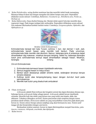 4.  Kelas Holothroidea, sering disebut mentimun laut dan memiliki tubuh lunak memanjang.
   Biasanya hidup di dasar laut dengan mengubur diri dalam lumpur atau pasir. Reproduksi
   dilakukan secara seksual. Contohnya, Bathylotes, Cucumaria sp., Holothuria atra, Psolus sp.,
   Stichops sp.
5. Kelas Ophiuroidea, biasa disebut bintang ular. Bentuk tubuh seperti bola dan memiliki daya
   regenerasi tinggi. Pada lengan terdapat kaki amburaklar. Reproduksi dillakukan secara seksual.
   Sisa makanan dikeluarkan kembali melalui mulut. Contohnya, Gorgonocephalus, Ophiothix, dan
   Ophioplacus sp.




                               Struktur tubuh Echinodermata
     Echinodermata berasal dari kata Yunani, echinos = duri, dan dermal = kulit. Jadi,
     echinodermata berarti hewan yang memiliki kulit berduri. Pada umumnya,
     echinodermata tidak memiliki nilai ekonomi. Namun, beberapa jenis di antaranya dapat
     dimanfaatkan sbg makanan, misalnya kerupuk teripang. Selain itu, beberapa kerangka
     tubuh jenis echinodermata lainnya dapat dimanfaatkan sebagai hiasan. Misalnya,
     kerangka                                  bintang                               laut.

     Ciri-ciri Echinodermata

        1. Echinodermata termasuk hewan triploblastik selomata.
        2. Semua anggota hewan ini hidup di laut.
        3. Bentuk tubuh dewasanya adalah simetris radial, sedangkan larvanya berupa
           simetris bilateral.
        4. Kulitnya terdiri atas lempeng-lempeng kapur dengan duri-duri kecil pada
           permukaannya.
        5. Memiliki kaki buluh yang disebut kaki ambulakral



B. Filum Artrhopoda
           Arthropoda adalah filum terbesar dari kingdom animal dan dapat ditemukan dimana saja.
   beberapa hewan arthropoda hidup sebagai parasit. Arthropoda adalah hewan tripoblastik
   selomata. Memiliki kaki dan tubuh yang beruas-ruas yang terdiri atas kepala, dada, dan
   abdomen. Tubuhnya dibungkus zat kitin. Sistem pencernaan telah sempurna dengan sistem
   peredaran darah terbuka. Hemosianin adalah zat yang menyebabkan warna biru pada darah jenis
   hewan ini. Sistem eskresi berupa saluran malphigi yang akan bermuara ke anus. Sistem saraf
   tangga tali dan bereproduksi dengan cara kawin.
           Berdasarkan struktur anatomi, hewan ini dapat dikelompokkan menjadi lima kelas, yaitu
   insecta, crustacea, chilopoda, arachnida, dan diplopoda.
1. Kelas insecta
 