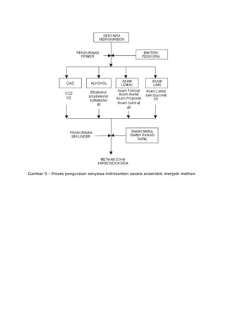 Gambar 9 : Proses penguraian senyawa hidrokarbon secara anaerobik menjadi methan.
 