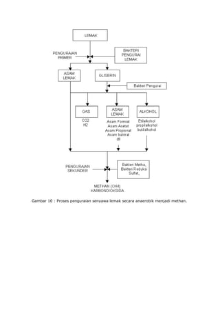 Gambar 10 : Proses penguraian senyawa lemak secara anaerobik menjadi methan.
 