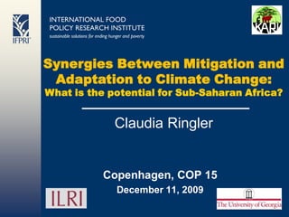 Synergies Between Mitigation and
 Adaptation to Climate Change:
What is the potential for Sub-Saharan Africa?


             Claudia Ringler


           Copenhagen, COP 15
             December 11, 2009
 