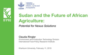 Sudan and the Future of African
Agriculture:
Claudia Ringler
Environment and Production Technology Division
International Food Policy Research Institute
Khartoum University, February 11, 2019
Potential for Nexus Solutions
 