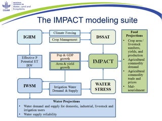 The IMPACT modeling suite
 