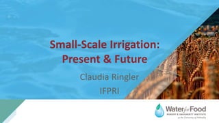 Small-Scale Irrigation:
Present & Future
Claudia Ringler
IFPRI
 