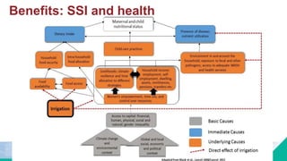 Benefits: SSI and health
 
