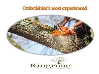 Oxfordshire’s most experienced
 