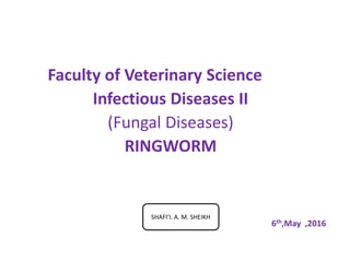 Faculty of Veterinary Science
Infectious Diseases II
(Fungal Diseases)
RINGWORM
6th,May ,2016
SHAFI’I. A. M. SHEIKH
 