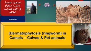 17
‫اكتوبر‬
2022
(Dermatophytosis (ringworm) in
Camels – Calves & Pet animals
‫المحاضرة‬
‫الخامسة‬
(
‫الحلقية‬ ‫القوباء‬
)
‫االبل‬ ‫فى‬
‫والحيوانات‬
‫المنزلية‬
 