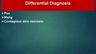 Differential Diagnosis
Pox
Mang
Contagious skin necrosis.
 