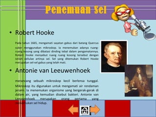 Penemuan Sel Robert Hooke Pada tahun 1665, mengamati sayatan gabus dari batang Quercus suber menggunakan mikroskop. Ia menemukan adanya ruang-ruang kosong yang dibatasi dinding tebal dalam pengamatannya. Robert Hooke menyebut ruang ruang kosong tersebut dengan istilah cellulae artinya sel. Sel yang ditemukan Robert Hooke merupakan sel-sel gabus yang telah mati. Antonie van Leeuwenhoek merancang sebuah mikroskop kecil berlensa tunggal. Mikroskop itu digunakan untuk mengamati air rendaman jerami. Ia menemukan organisme yang bergerak-gerak di dalam air, yang kemudian disebut bakteri. Antonie van Leeuwenhoek merupakan orang pertama yang menemukan sel hidup. 
