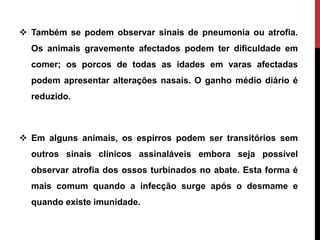  Também se podem observar sinais de pneumonia ou atrofia.
Os animais gravemente afectados podem ter dificuldade em
comer; os porcos de todas as idades em varas afectadas
podem apresentar alterações nasais. O ganho médio diário é
reduzido.
 Em alguns animais, os espirros podem ser transitórios sem
outros sinais clínicos assinaláveis embora seja possível
observar atrofia dos ossos turbinados no abate. Esta forma é
mais comum quando a infecção surge após o desmame e
quando existe imunidade.
 