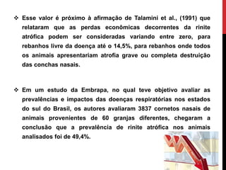  Esse valor é próximo à afirmação de Talamini et al., (1991) que
relataram que as perdas econômicas decorrentes da rinite
atrófica podem ser consideradas variando entre zero, para
rebanhos livre da doença até o 14,5%, para rebanhos onde todos
os animais apresentariam atrofia grave ou completa destruição
das conchas nasais.
 Em um estudo da Embrapa, no qual teve objetivo avaliar as
prevalências e impactos das doenças respiratórias nos estados
do sul do Brasil, os autores avaliaram 3837 cornetos nasais de
animais provenientes de 60 granjas diferentes, chegaram a
conclusão que a prevalência de rinite atrófica nos animais
analisados foi de 49,4%.
 