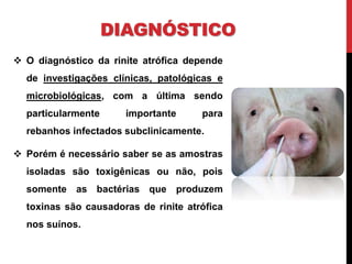DIAGNÓSTICO
 O diagnóstico da rinite atrófica depende
de investigações clínicas, patológicas e
microbiológicas, com a última sendo
particularmente importante para
rebanhos infectados subclinicamente.
 Porém é necessário saber se as amostras
isoladas são toxigênicas ou não, pois
somente as bactérias que produzem
toxinas são causadoras de rinite atrófica
nos suínos.
 