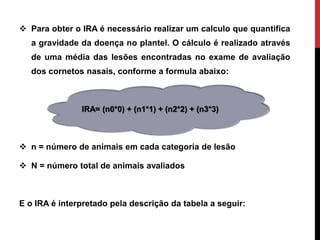  Para obter o IRA é necessário realizar um calculo que quantifica
a gravidade da doença no plantel. O cálculo é realizado através
de uma média das lesões encontradas no exame de avaliação
dos cornetos nasais, conforme a formula abaixo:
 n = número de animais em cada categoria de lesão
 N = número total de animais avaliados
E o IRA é interpretado pela descrição da tabela a seguir:
IRA= (n0*0) + (n1*1) + (n2*2) + (n3*3)
 