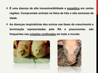  É uma doença de alta transmissibilidade e enzoótica em certas
regiões. Compromete animais na faixa de três a oito semanas de
idade.
 As doenças respiratórias dos suínos nas fases de crescimento e
terminação representadas pela RA e pneumonias, são
frequentes nas criações confinadas em todo o mundo.
 