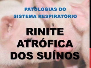 RINITE
ATRÓFICA
DOS SUÍNOS
PATOLOGIAS DO
SISTEMA RESPIRATÓRIO
 