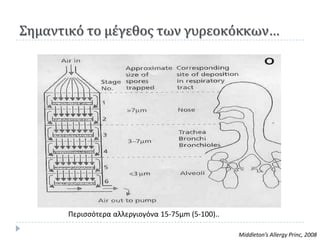 ΢ημαντικό το μέγεθοσ των γυρεοκόκκων…




      Ρεριςςότερα αλλεργιογόνα 15-75μm (5-100)..

                                                   Middleton’s Allergy Princ, 2008
 