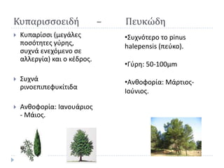 Κυπαριςςοειδή                 –   Πευκώδη
   Κυπαρίςςι (μεγάλεσ            •Συχνότερο το pinus
    ποςότθτεσ γφρθσ,              halepensis (πεφκο).
    ςυχνά ενεχόμενο ςε
    αλλεργία) και ο κζδροσ.
                                  •Γφρθ: 50-100μm
   Συχνά                         •Ανκοφορία: Μάρτιοσ-
    ρινοεπιπεφυκίτιδα
                                  Ιοφνιοσ.

   Ανκοφορία: Ιανουάριοσ
    - Μάιοσ.
 