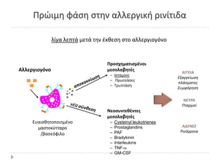 Ρρϊιμθ φάςθ ςτθν αλλεργικι ρινίτιδα

               λίγα λεπτά μετά τθν ζκκεςθ ςτο αλλεργιογόνο


                                   Προςχηματιςμζνοι
Αλλεργιογόνο                       μεςολαβητζσ
                                                                   ΑΓΓΕΙΑ
                                    – Ιςταμίνθ
                                                                 Εξαγγείωςη
                                    – Ρρωτεάςεσ
                                                                 πλάςματοσ
                                    – Τρυπτάςθ
                                                                 ΢υμφόρηςη

                                                                    ΝΕΥΡΑ
                                                                   Πταρμοί
                                   Νεοςυντεθζντεσ
                                   μεςολαβητζσ
     Ευαιςκθτοποιθμζνο              –   Cysteinyl leukotrienes
       μαςτοκφτταρο                 –   Prostaglandins             ΑΔΕΝΕ΢
                                    –   PAF                       Ρινόρροια
        /βαςεόφιλο
                                    –   Bradykinin
                                    –   Interleukins
                                    –   TNF-
                                    –   GM-CSF
 