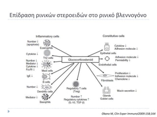 Επίδραςθ ρινικϊν ςτεροειδϊν ςτο ρινικό βλεννογόνο




                                Okano M, Clin Exper Immunol2009:158;164
 