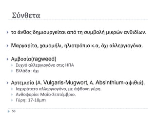 ΢ύνθετα

   το άνκοσ δθμιουργείται από τθ ςυμβολι μικρϊν ανκιδίων.

   Mαργαρίτα, χαμομιλι, θλιοτρόπιο κ.α, όχι αλλεργιογόνα.

   Αμβοςία(ragweed)
        Συχνό αλλεργιογόνο ςτισ ΘΡΑ
        Ελλάδα: όχι

   Αρτεμιςία (Α. Vulgaris-Mugwort, Α. Absinthium-αψικιά).
        Ιςχυρότατο αλλεργιογόνο, με άφκονθ γφρθ.
        Ανκοφορία: Μαΐο-Σεπτζμβριο.
        Γφρθ: 17-18μm

    56
 