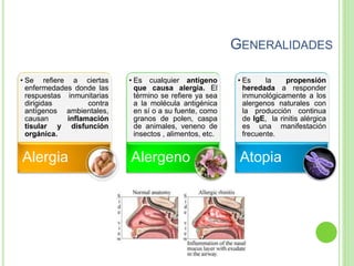GENERALIDADES
• Se refiere a ciertas
enfermedades donde las
respuestas inmunitarias
dirigidas contra
antígenos ambientales,
causan inflamación
tisular y disfunción
orgánica.
Alergia
• Es cualquier antígeno
que causa alergia. El
término se refiere ya sea
a la molécula antigénica
en sí o a su fuente, como
granos de polen, caspa
de animales, veneno de
insectos , alimentos, etc.
Alergeno
• Es la propensión
heredada a responder
inmunológicamente a los
alergenos naturales con
la producción continua
de IgE, la rinitis alérgica
es una manifestación
frecuente.
Atopia
 
