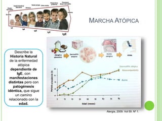MARCHA ATÓPICA
Describe la
Historia Natural
de la enfermedad
atópica
dependiente de
IgE, con
manifestaciones
distintas pero con
patogénesis
idéntica, que sigue
un camino
relacionado con la
edad.
Alergia, 2009. Vol 59. Nº 1.
 