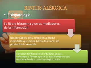 Se libera histamina y otros mediadores
de la inflamación
Responsables de la reacción alérgica
inmediata que actúa hasta dos horas de
producida la reacción
Se liberan también otros mediadores que se
comienzan a formar a partir de este momento y son
responsables de la reacción alérgica tardía.
 
