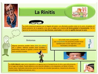 La Rinitis
La rinitis estacional aparece con la llegada del polen. Los afectados pueden notar en la nariz, el paladar, la
parte posterior de la garganta y los ojos un picor que empieza de forma gradual o bruscamente. Por lo
general, los pacientes presentan ojos llorosos, estornudos y la caída de agüilla clara por la nariz.
Síntomas
Algunas personas pueden tener dolor de cabeza,
tos, y jadeos. Además pueden estar irritables y
deprimidas; pierden el apetito y tienen dificultades
para conciliar el sueño.
Si la rinitis viene acompañada
con conjuntivitis los pacientes pueden tener
también picor ocular, lagrimeo y ojos
hinchados y enrojecidos.
La rinitis laboral surge como respuesta a un agente que se transporta por el aire y que está presente
en el lugar de trabajo. Puede deberse a una reacción alérgica o a la respuesta a un factor irritante.
Suelen estar implicados elementos como las harinas de cereales (panaderos, industria de alimentos
precocinados, fábricas de piensos, etc.),
 