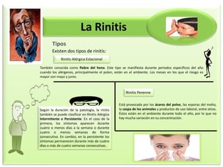 La Rinitis
Tipos
Existen dos tipos de rinitis:
Rinitis Alérgica Estacional
También conocida como fiebre del heno. Este tipo se manifiesta durante periodos específicos del año
cuando los alérgenos, principalmente el polen, están en el ambiente. Los meses en los que el riesgo es
mayor son mayo y junio.
Rinitis Perenne
Está provocada por los ácaros del polvo, las esporas del moho,
la caspa de los animales y productos de uso laboral, entre otros.
Éstos están en el ambiente durante todo el año, por lo que no
hay mucha variación en su concentración.
Según la duración de la patología, la rinitis
también se puede clasificar en Rinitis Alérgica
Intermitente o Persistente. En el caso de la
primera, los síntomas aparecen durante
cuatro o menos días a la semana o durante
cuatro o menos semanas de forma
consecutiva. En cambio, en la persistente los
síntomas permanecen durante más de cuatro
días o más de cuatro semanas consecutivas.
 