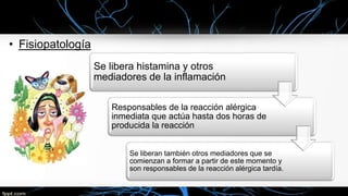 • Fisiopatología
Se libera histamina y otros
mediadores de la inflamación
Responsables de la reacción alérgica
inmediata que actúa hasta dos horas de
producida la reacción
Se liberan también otros mediadores que se
comienzan a formar a partir de este momento y
son responsables de la reacción alérgica tardía.
 