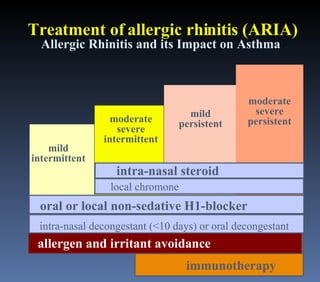 Aria Rhinitis Rinitis Alergica | PPT