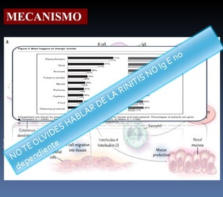 MECANISMO The voice of the patient: Allergic rhinitis is not a trivial disease. Current opionion in allergy and clinicla immunology 2008: 1- 9 