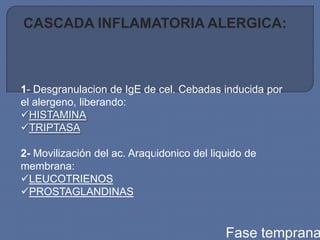 CASCADA INFLAMATORIA ALERGICA:



1- Desgranulacion de IgE de cel. Cebadas inducida por
el alergeno, liberando:
HISTAMINA
TRIPTASA

2- Movilización del ac. Araquidonico del liquido de
membrana:
LEUCOTRIENOS
PROSTAGLANDINAS


                                            Fase temprana
 