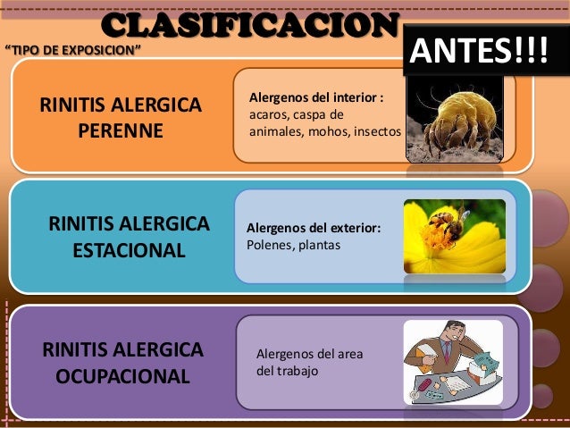 Rinitis alergica