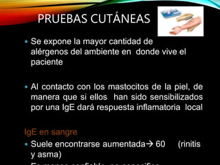 PRUEBAS CUTÁNEAS
 Se expone la mayor cantidad de
alérgenos del ambiente en donde vive el
paciente
 Al contacto con los mastocitos de la piel, de
manera que si ellos han sido sensibilizados
por una IgE dará respuesta inflamatoria local
IgE en sangre
 Suele encontrarse aumentada 60 (rinitis
y asma)
 