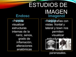 ESTUDIOS DE
IMAGEN
Endosc
opia
Imagenol
ogiaPermite
visualizar
estructuras
internas de la
nariz, senos,
grado de
inflamación,
alteraciones
anatómicas
Radiografías con
vistas frontal y
lateral y town nos
permiten
visualizar
estructuras de la
nariz
y senos
paranasales.
 