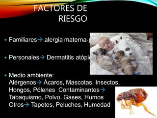 FACTORES DE
RIESGO
 Familiares alergia materna-paterna
 Personales Dermatitis atópica, Asma
 Medio ambiente:
Alérgenos Ácaros, Mascotas, Insectos,
Hongos, Pólenes Contaminantes
Tabaquismo, Polvo, Gases, Humos
Otros Tapetes, Peluches, Humedad
 