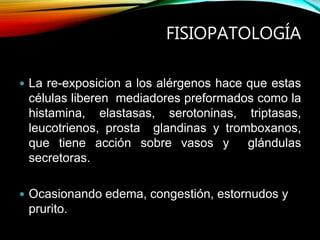 FISIOPATOLOGÍA
 La re-exposicion a los alérgenos hace que estas
células liberen mediadores preformados como la
histamina, elastasas, serotoninas, triptasas,
leucotrienos, prosta glandinas y tromboxanos,
que tiene acción sobre vasos y glándulas
secretoras.
 Ocasionando edema, congestión, estornudos y
prurito.
 