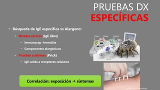PRUEBAS DX
ESPECÍFICAS
• Búsqueda de IgE específica vs Alergeno:
• Niveles séricos (IgE libre)
• Immunocap -Immulite
• Componentes alergénicos
• Pruebas cutáneas (Prick)
• IgE unida a receptores celulares
Correlación: exposición g síntomas
ppt Dr. José Ortega Martell
 