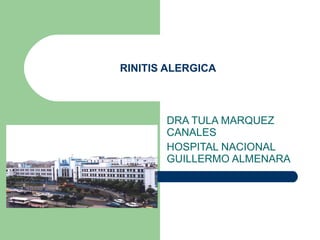RINITIS ALERGICA DRA TULA MARQUEZ CANALES HOSPITAL NACIONAL GUILLERMO ALMENARA 