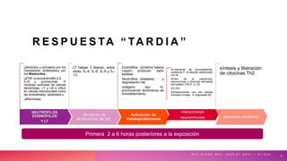 R E S P U E S TA “ TA R D I A ”
R E V A L E R G M E X . 2 0 2 0 ; 6 7 S U P L 1 : S 1 - S 2 8
11
NEUTRÓFILOS,
EOSINÓFILOS
Y LT
Atraídos y activados por los
mediadores sintetizados por
los Mastocitos .
TNF-a,leucotrienoB4,IL5,
IL-8 y quimiocinas 
modulan actividad de células
dendríticas, LT y LB e influir
en células estructurales como
las endoteliales, epiteliales y
Nerviosas.
Aumento de
producción de IgE.
LT helper 2 liberan, entre
otras, IL-4, IL-5, IL-9 y IL-
13.
Activación de
metaloproteinasas
Eosinófilos (proteína básica
mayor) producen daño
epitelial
Neutrofilos (elastasa) : y
degradación del
colágeno tipo III,
promoviendo fenómenos de
remodelamiento.
interacciones
neuroinmunes
Liberación de neuropéptidos,
sustancia P, el péptido relacionado
con el
Gen de la calcitonina,
neurocininas y citocinas derivadas
del epitelio (TSLP, IL-33,
Il-25).
Interaccionan con las células
linfoides innatas  respuesta th2.
procesos oxidativo
síntesis y liberación
de citocinas Th2
Primera 2 a 6 horas posteriores a la exposición
 