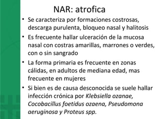 NAR: atrofica
• Se caracteriza por formaciones costrosas,
descarga purulenta, bloqueo nasal y halitosis
• Es frecuente hallar ulceración de la mucosa
nasal con costras amarillas, marrones o verdes,
con o sin sangrado
• La forma primaria es frecuente en zonas
cálidas, en adultos de mediana edad, mas
frecuente en mujeres
• Si bien es de causa desconocida se suele hallar
infección crónica por Klebsiella ozanae,
Cocobacillus foetidus ozaena, Pseudomona
aeruginosa y Proteus spp.
 
