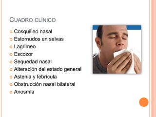 CUADRO CLÍNICO
 Cosquilleo nasal
 Estornudos en salvas
 Lagrimeo
 Escozor
 Sequedad nasal
 Alteración del estado general
 Astenia y febrícula
 Obstrucción nasal bilateral
 Anosmia
 