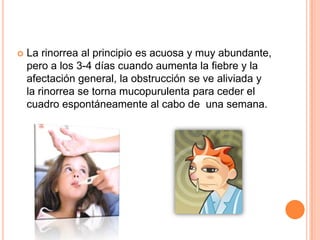  La rinorrea al principio es acuosa y muy abundante,
pero a los 3-4 días cuando aumenta la fiebre y la
afectación general, la obstrucción se ve aliviada y
la rinorrea se torna mucopurulenta para ceder el
cuadro espontáneamente al cabo de una semana.
 