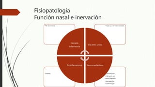 Fisiopatología
Función nasal e inervación
• Hiperinervación
• Inflamación nerv.
• Fibras amielinicas
• Neuropeptidos
• Calcitonina gen
• Irritantes
• Tracto sup e inf. interconectados• PG, leucotrienos
Cascada
inflamatoria
Vía aérea unida
NeuromediadoresProinflamatorios
 