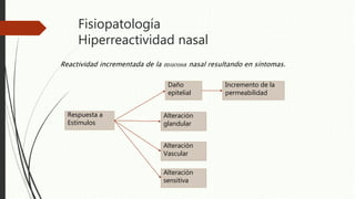 Fisiopatología
Hiperreactividad nasal
Respuesta a
Estímulos
Reactividad incrementada de la mucosa nasal resultando en síntomas.
Daño
epitelial
Incremento de la
permeabilidad
Alteración
glandular
Alteración
Vascular
Alteración
sensitiva
 