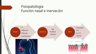Fisiopatología
Función nasal e inervación
• T°
• Olfacción
• Filtración
• Humificación
Función
IgA
Proteínas
enzimas
Lubricación
• 15 batidas /
min
• 2,5-7,5
mL/min
Cilios
 